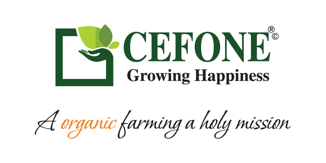 Cefone